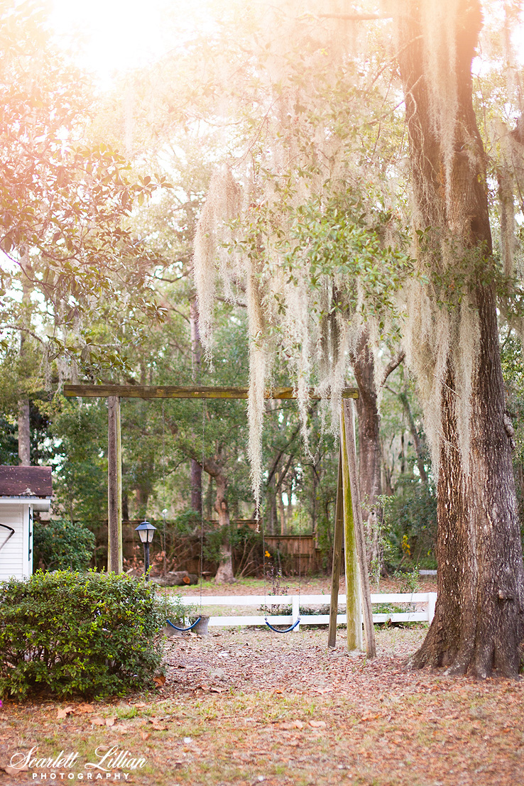 I love all the hanging spanish moss in the trees! And I love this old wooden swing set that came with the house that our baby girl can grow up using with her friends!