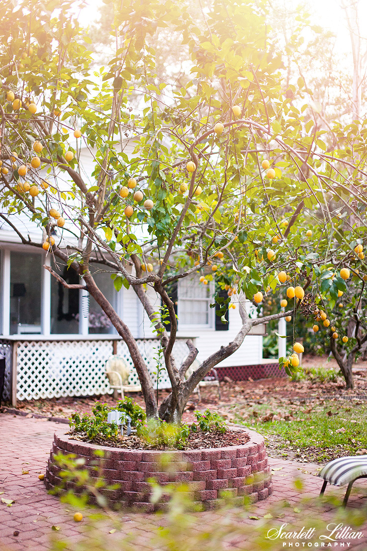 FIXER-UPPER-FARMHOUSE-20