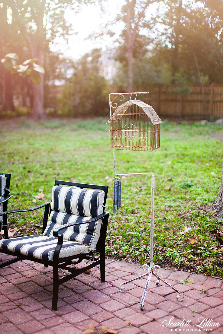 This vintage bird cage was another movie prop left with the house that I love to display.