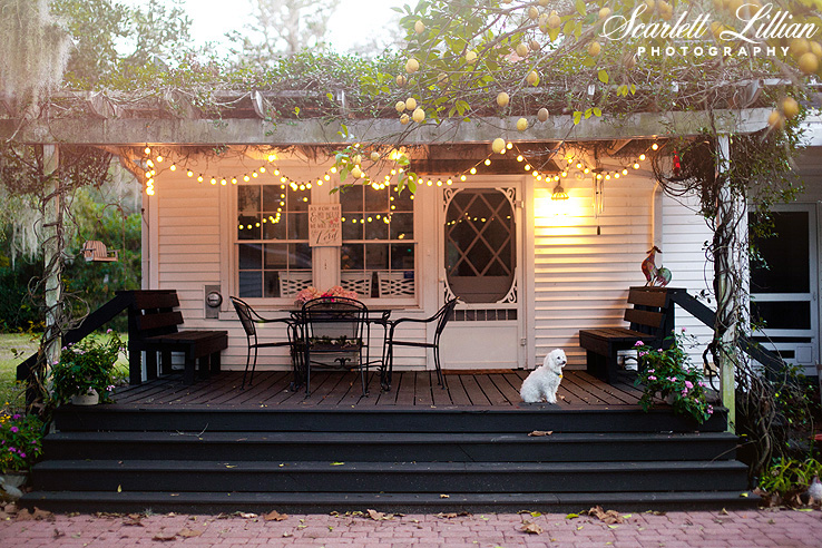 My ever faithful watch dog! We added the cafe lights and painted the previous green porch to black.